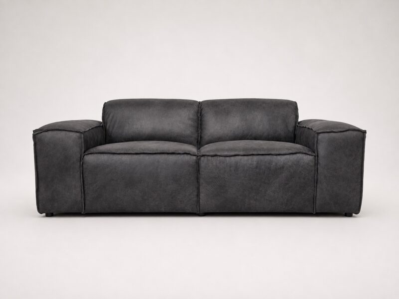 Hudson Leather Sofa - Front View